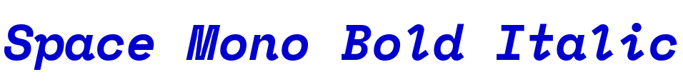 Space Mono Bold Italic Schriftart